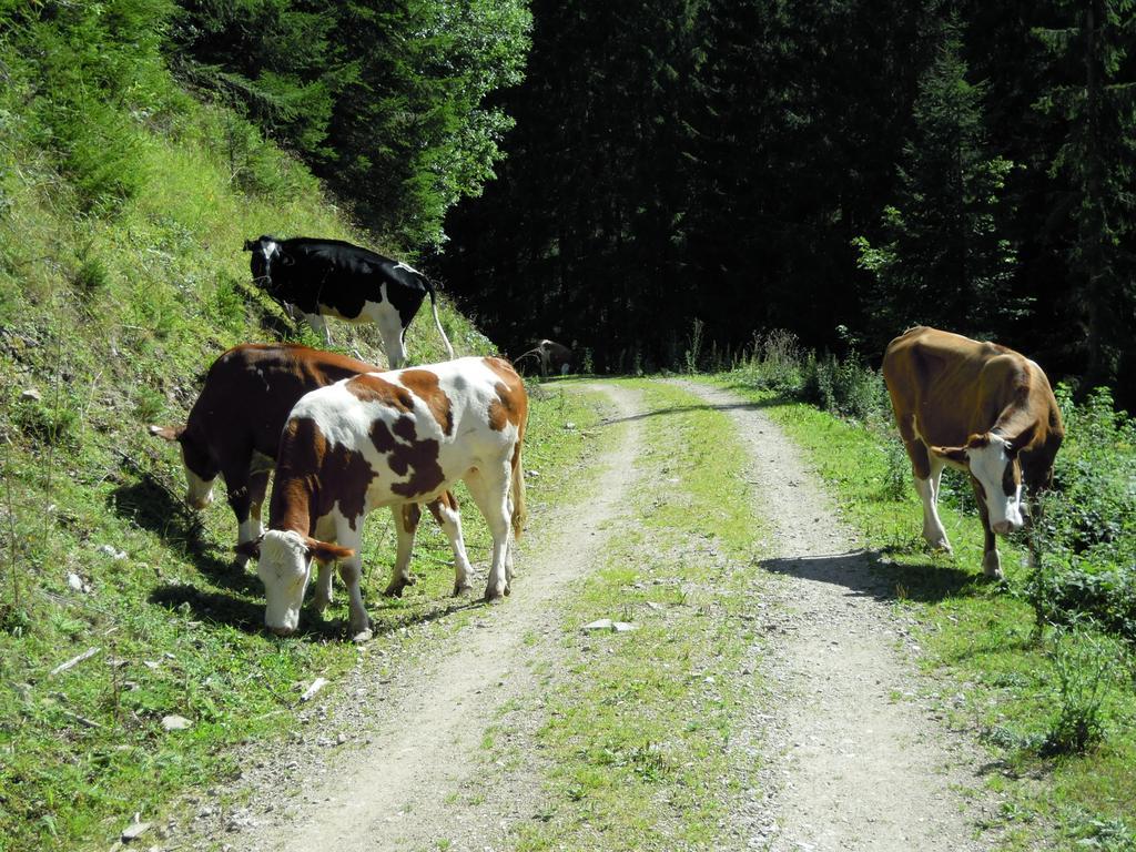 Ferienhaus Hoechhaeusl Werfenweng Dış mekan fotoğraf